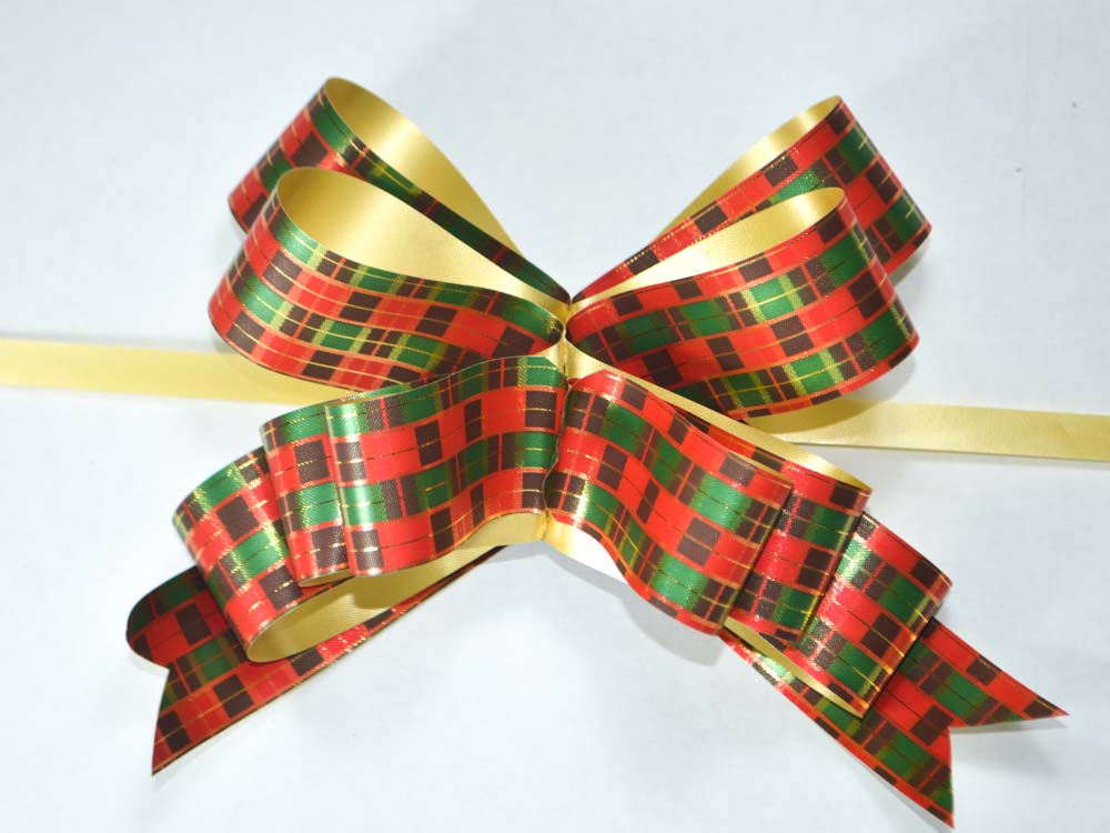 1763961845_ED004510-Rojo