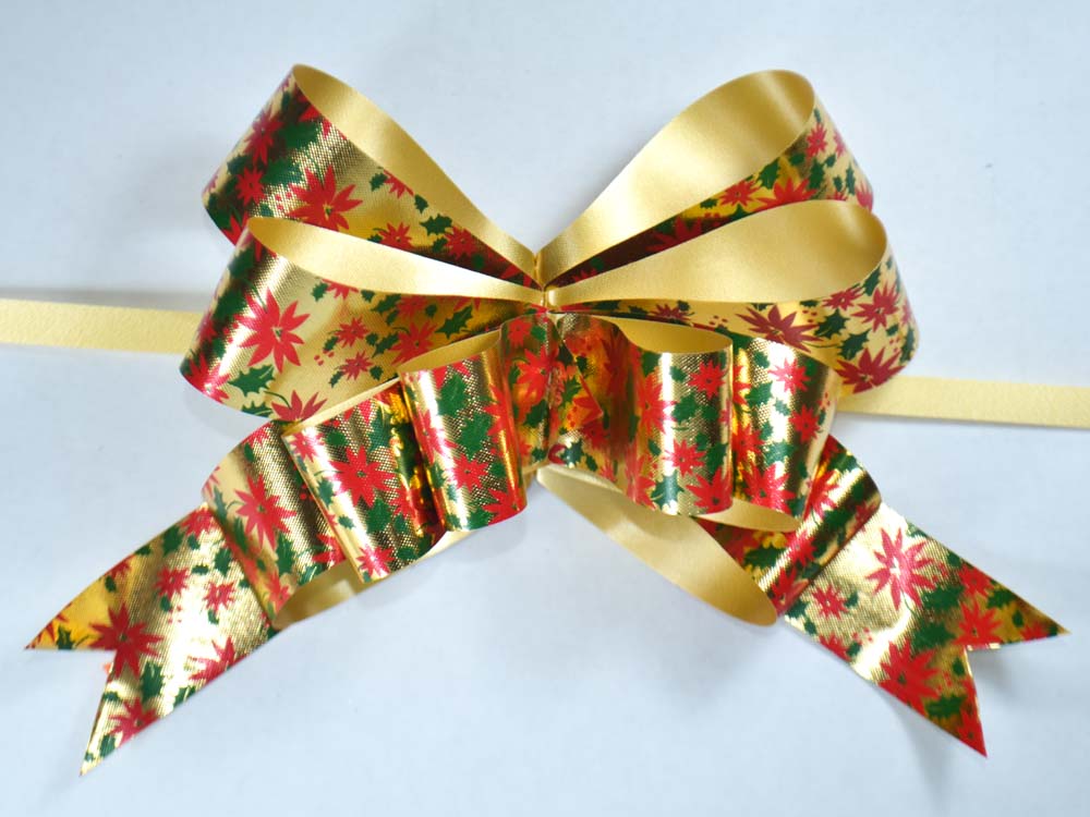 1763962805_ED004732-Dorado