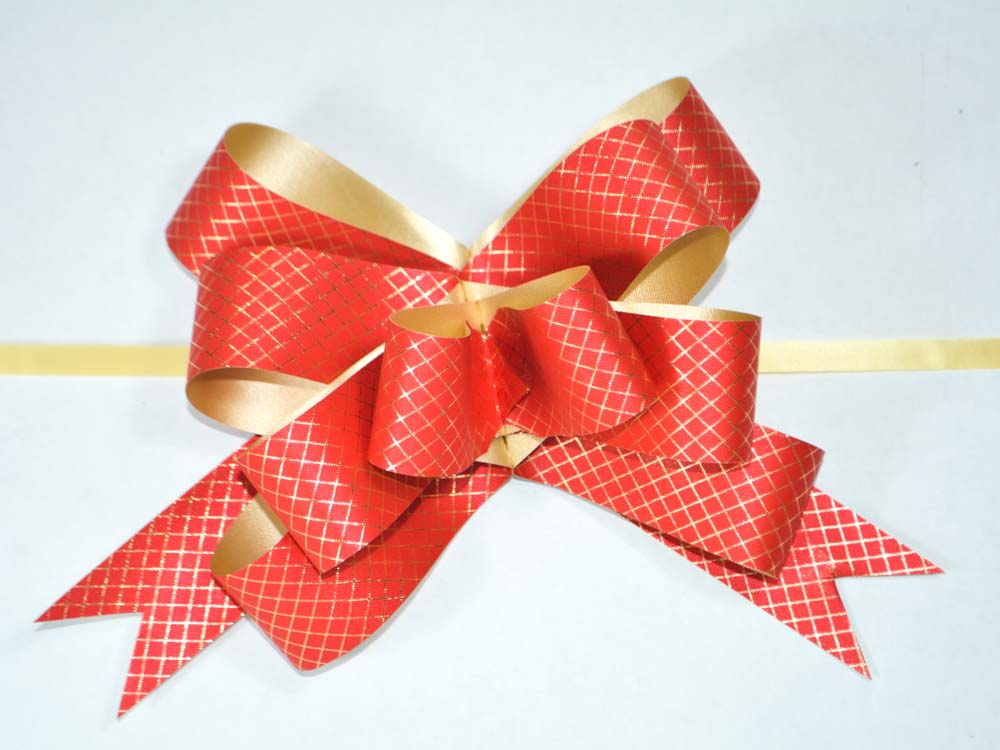 1783315327_ED004737-Rojo