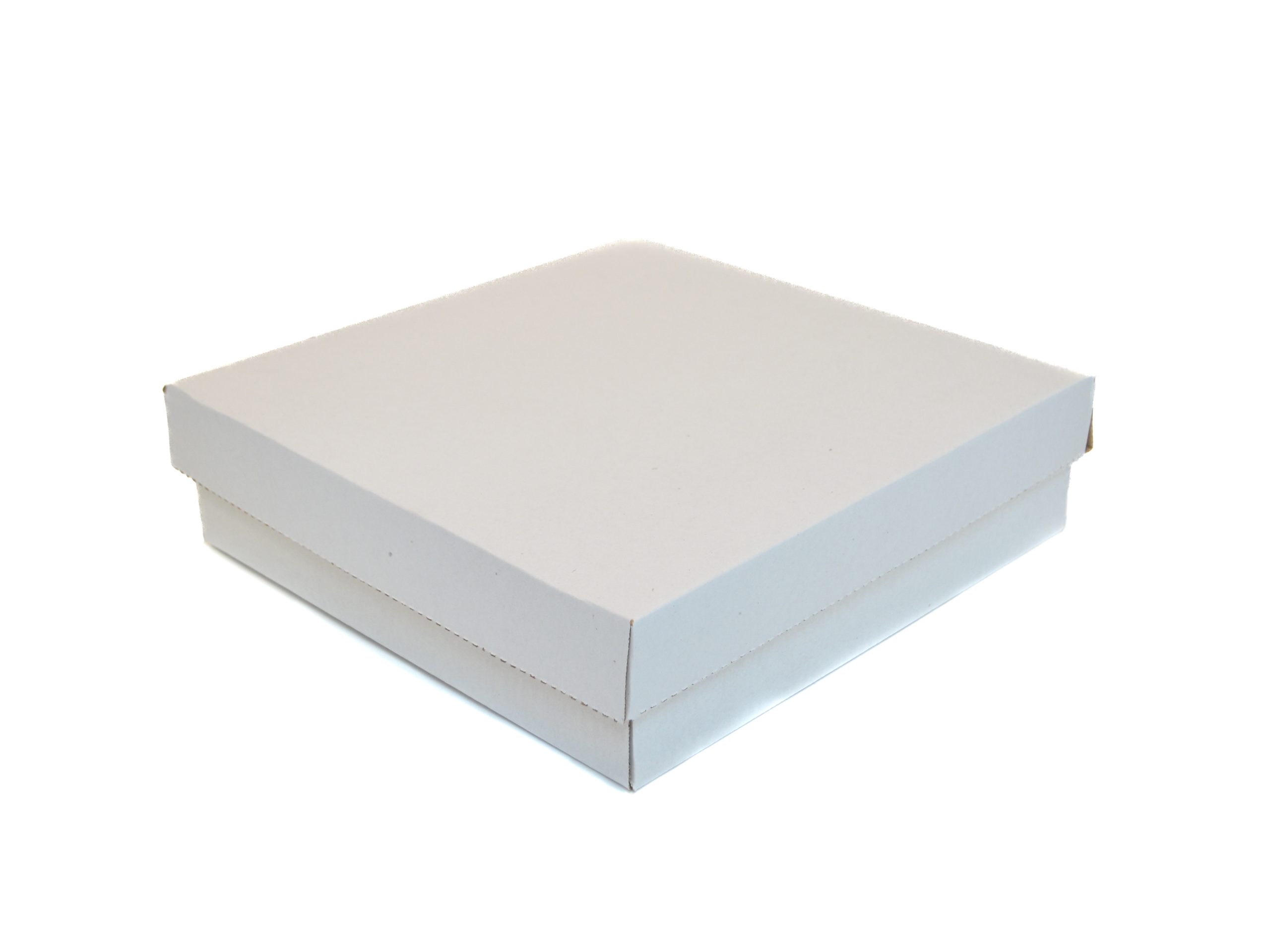 1778487125_ED008665-Blanco1