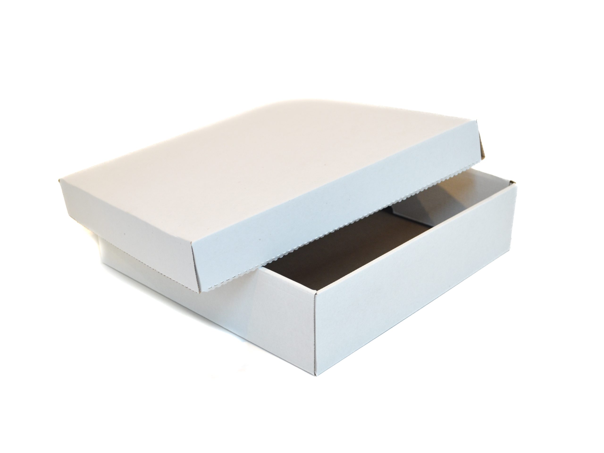 1778487129_ED008665-Blanco2