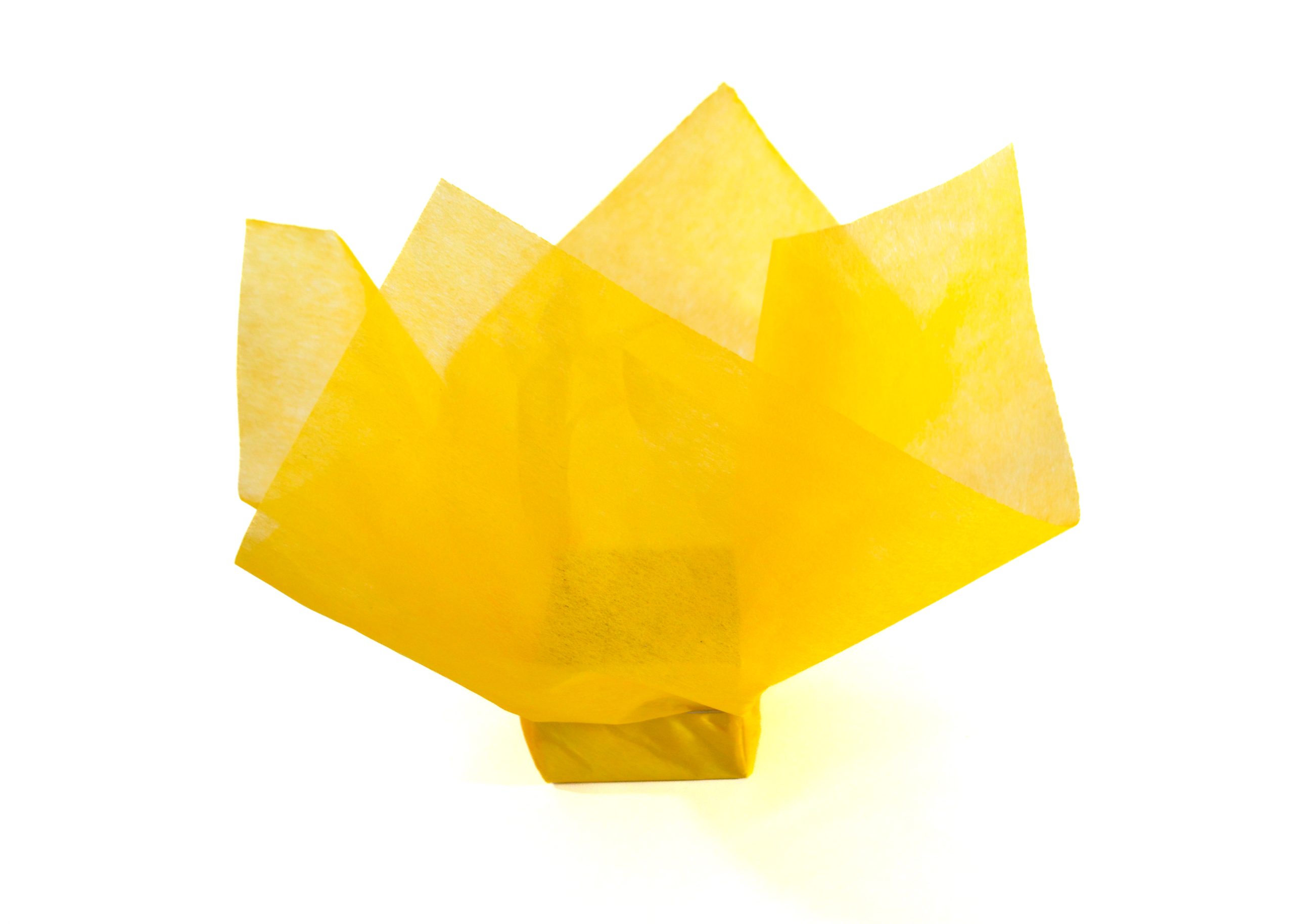 1763963644_ED005313-Amarillo1